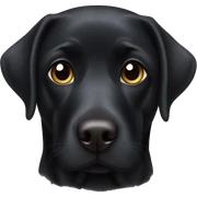 black Labrador heart eyes sticker