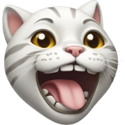 crying cat sticker