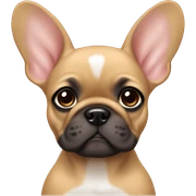 Fawn frenchie pup sticker
