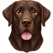 Chocolate lab sticker
