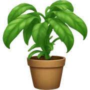 Plant sticker