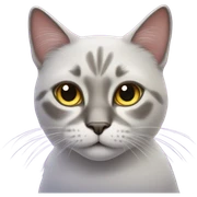 Cat with star eyes sticker