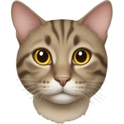 cat sticker