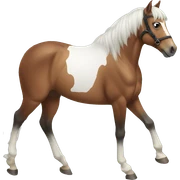 horse  sticker