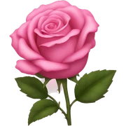 Pink rose sticker