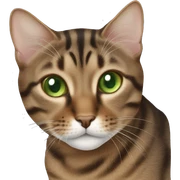 brown tabby cat green eyes  sticker