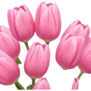 Pink tulips sticker