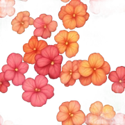 Begonias flower  sticker