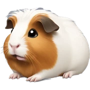 Guinea pig sticker