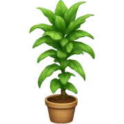 plant sticker