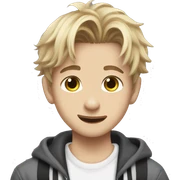 Stray kids sticker