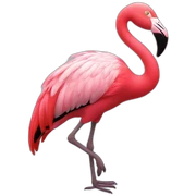 Flamant rose sticker