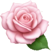 pink rose  sticker