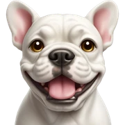 French bull dog sticker