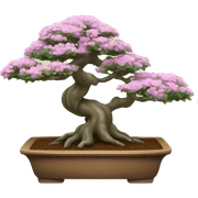 bonsai tree sticker