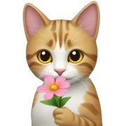 cat holding a flower sticker