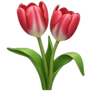 tulips sticker