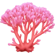 one pink coral  sticker