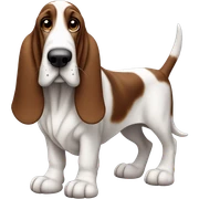 Basset hound  sticker