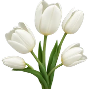 White tulips sticker