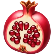 pomegranate  sticker