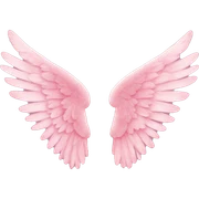 Victoria’s Secret wings sticker