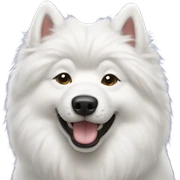 Samoyed sticker