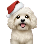 Maltipooo christmas sticker