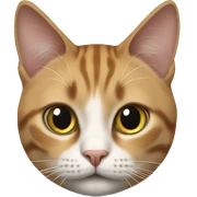 realistic cat in traditional media sticker