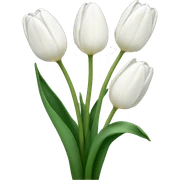 White tulips sticker