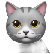 Grey cat with pale pink confetti sticker