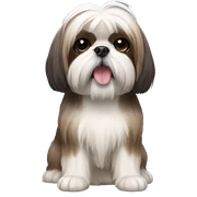 Shih Tzu sticker