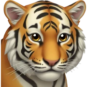 tiger  sticker