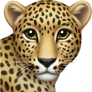 leopard heart sticker