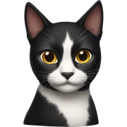 Black cat sticker