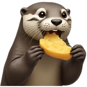 Otter eating sticker