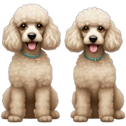 Two poodles sticker