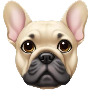 Frenchie sticker
