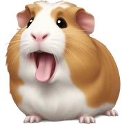 Guineapig yawning sticker