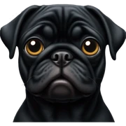 Black pug sticker