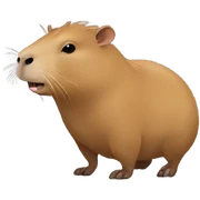 Capybara like sticker