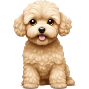 tan maltipoo sticker