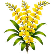 big bouquet yellow Dendrobium Orchid flower, stem, leaf sticker