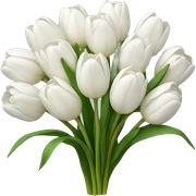 white tulip bouquet  sticker