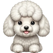 Poodle sticker