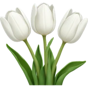 White tulips sticker