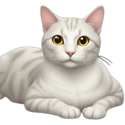 Cat sur cat sticker