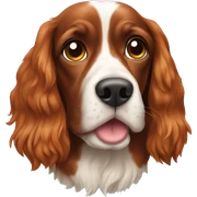 koker spaniel orange sticker
