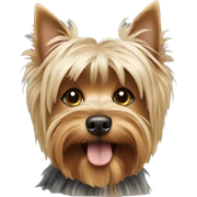Yorkshire Terrier sticker