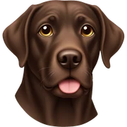 Chocolate lab sticker